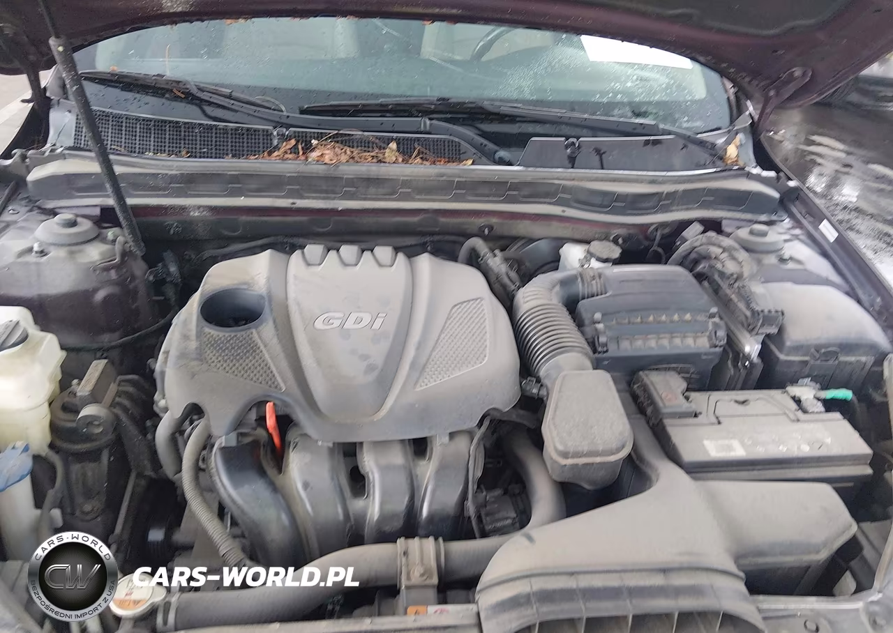 2015 Kia Optima Ex VIN:5XXGN4A70FG453707 - 10