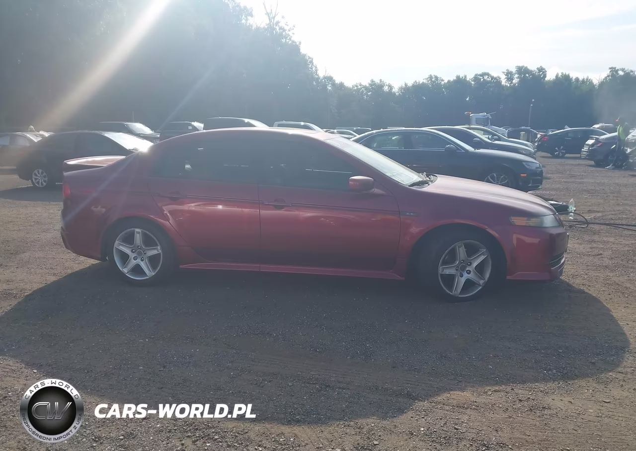 2004 Acura Tl VIN:19UUA66294A037866 - 13