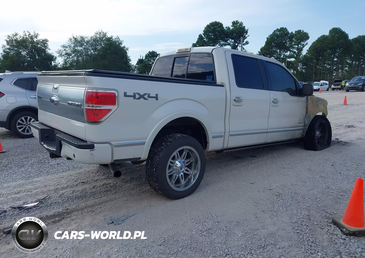 2012 Ford F-150 Platinum VIN:1FTFW1ET5CFC34265 - 4