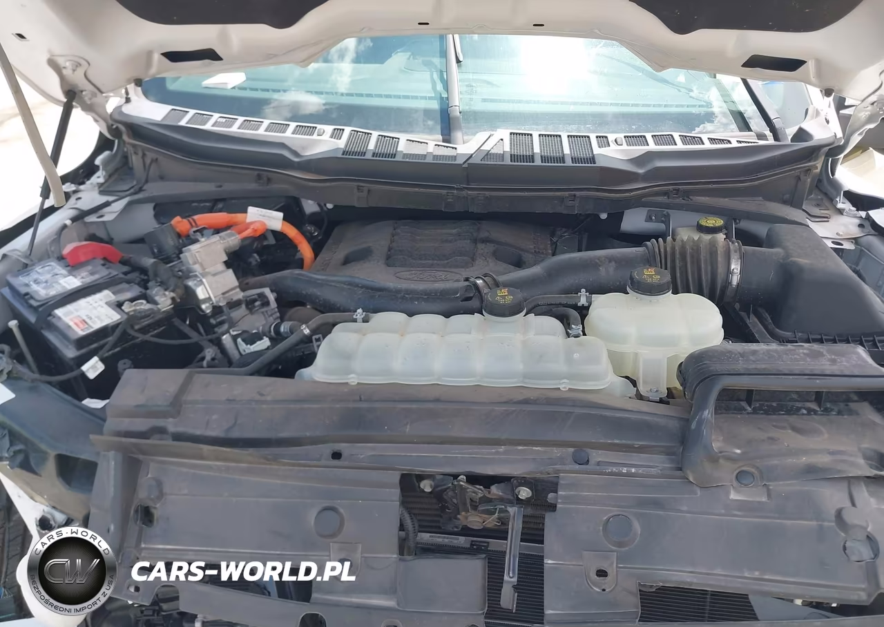 2021 Ford F-150 Xlt VIN:1FTFW1ED3MFB08058 - 10