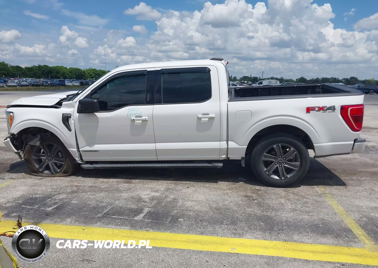 2021 Ford F-150 Xlt VIN:1FTFW1ED3MFB08058 - 13