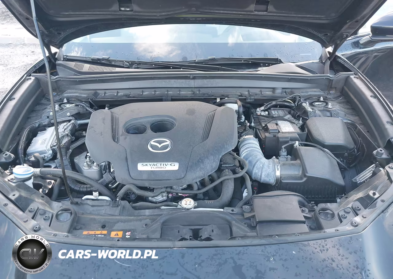 2024 Mazda Cx-30 2.5 Turbo Premium Plus Package VIN:3MVDMBEY5RM662388 - 10