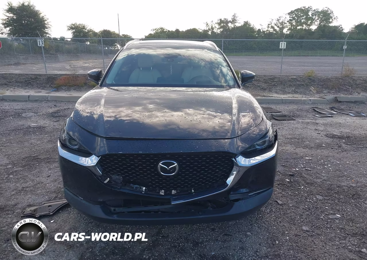 2024 Mazda Cx-30 2.5 Turbo Premium Plus Package VIN:3MVDMBEY5RM662388 - 12