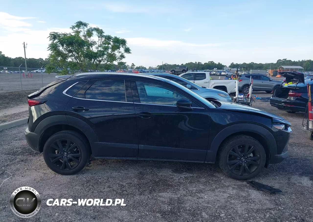 2024 Mazda Cx-30 2.5 Turbo Premium Plus Package VIN:3MVDMBEY5RM662388 - 13