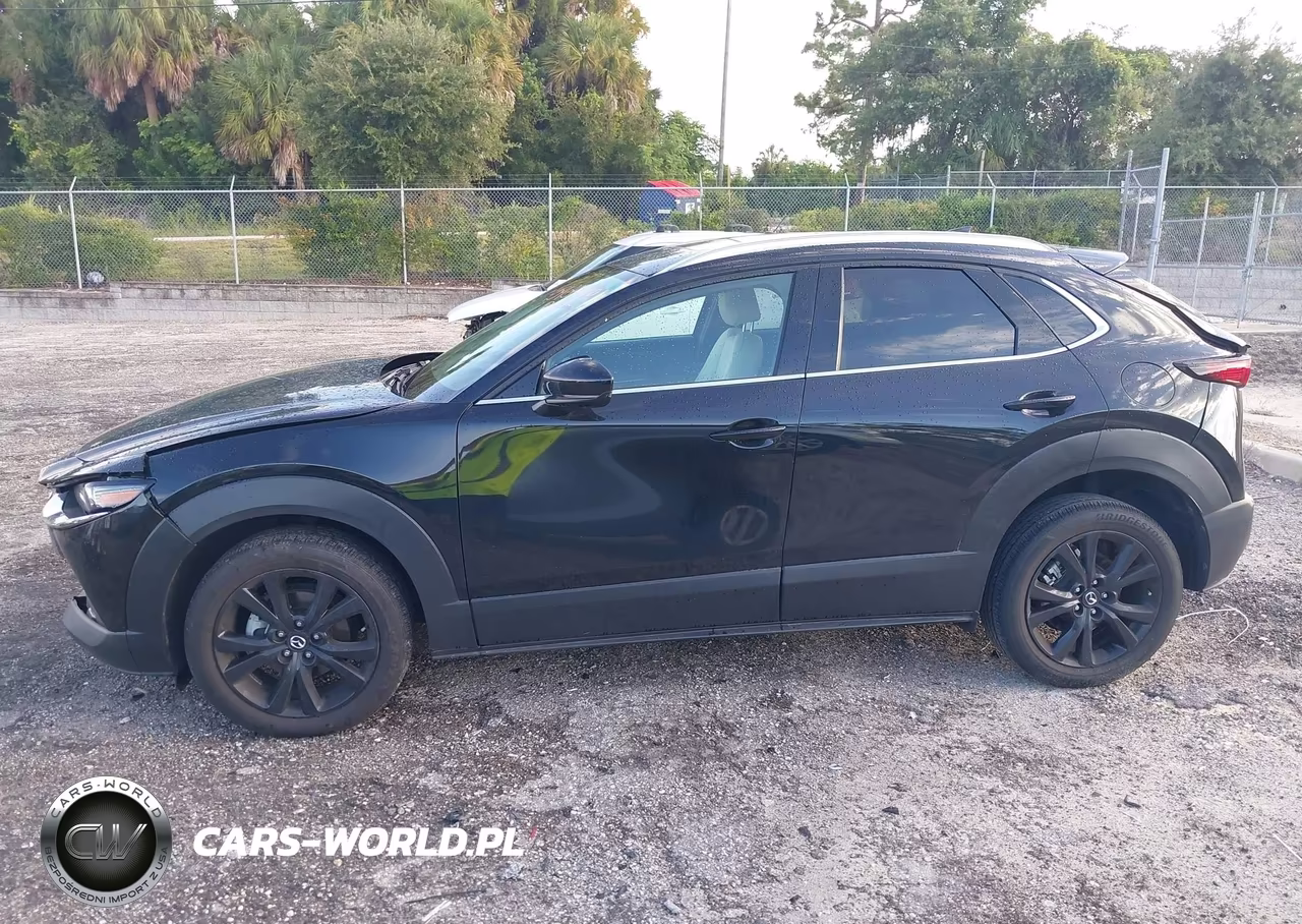 2024 Mazda Cx-30 2.5 Turbo Premium Plus Package VIN:3MVDMBEY5RM662388 - 14