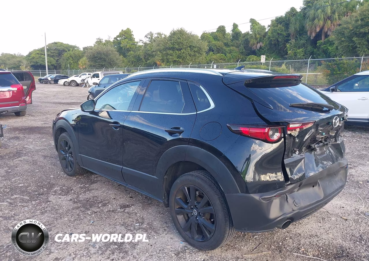 2024 Mazda Cx-30 2.5 Turbo Premium Plus Package VIN:3MVDMBEY5RM662388 - 3
