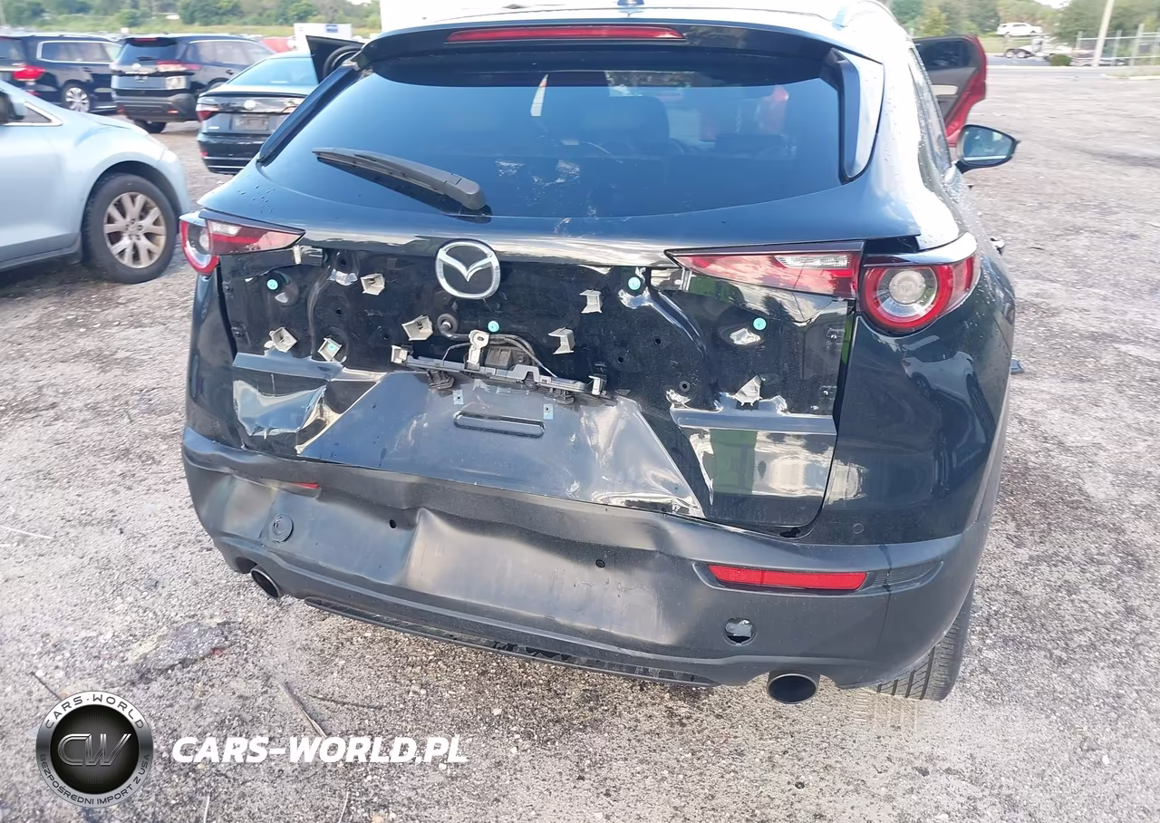 2024 Mazda Cx-30 2.5 Turbo Premium Plus Package VIN:3MVDMBEY5RM662388 - 6