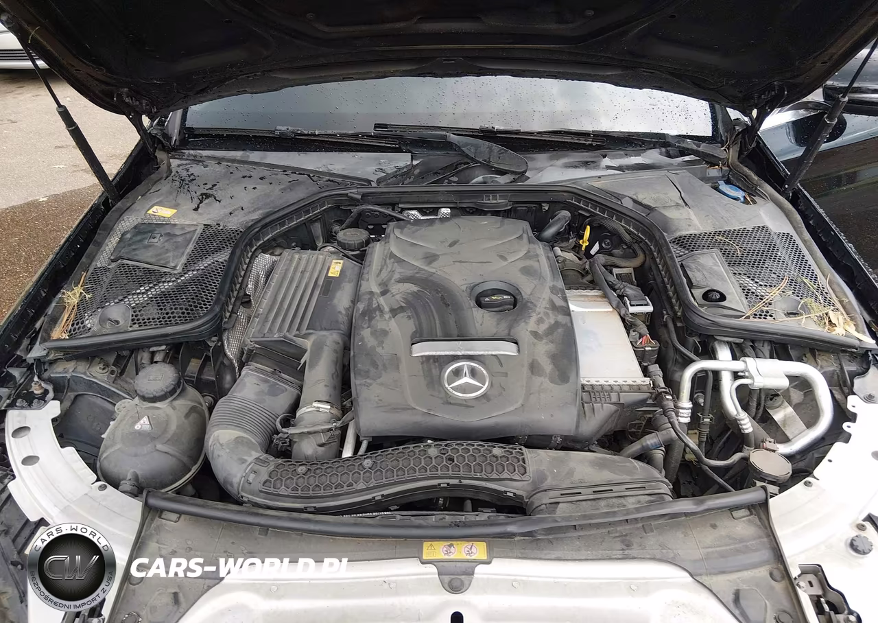 2016 Mercedes-Benz C 300 Luxury 4Matic VIN:55SWF4KB9GU147359 - 10