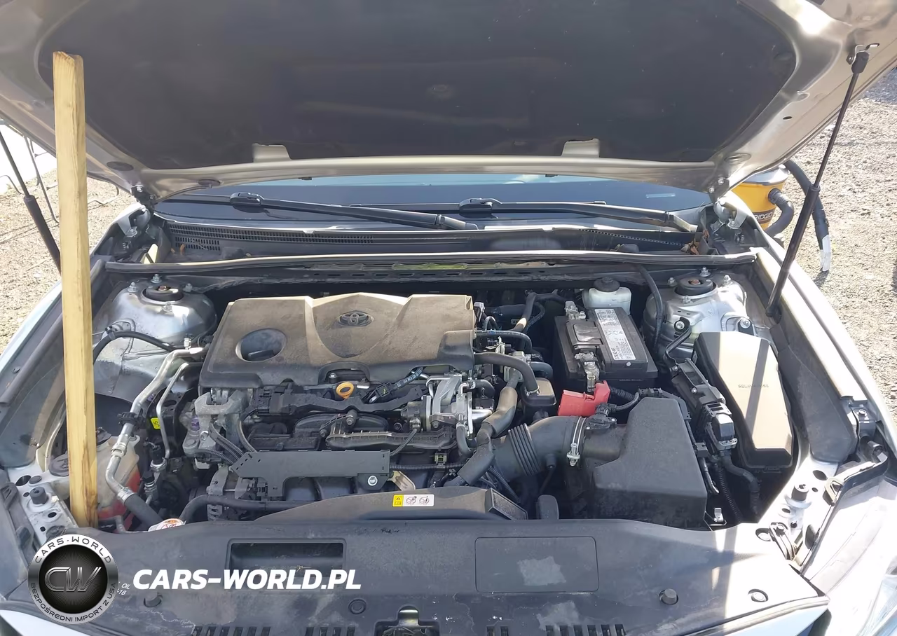 2019 Toyota Camry Xle VIN:4T1B11HK9KU806802 - 10