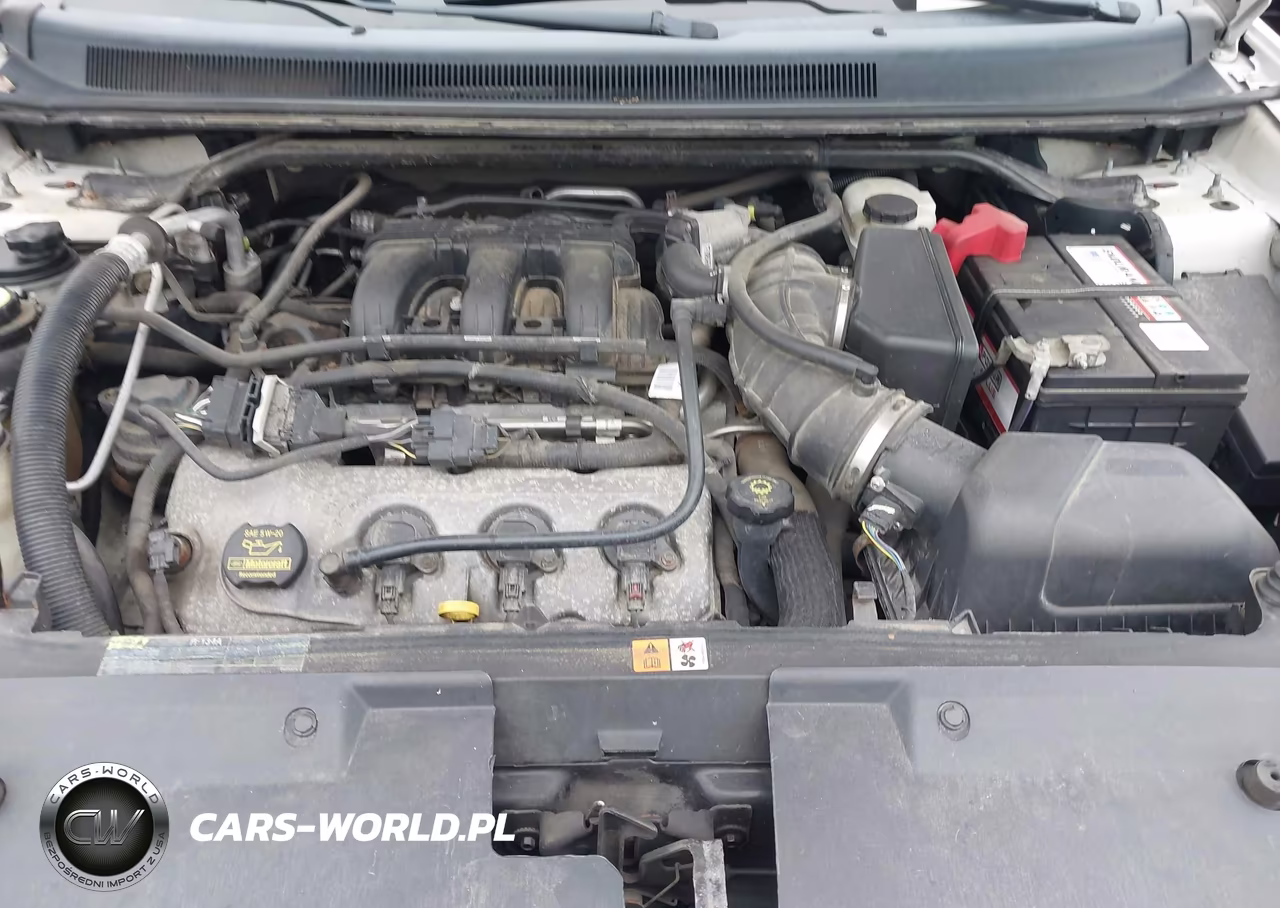 2009 Ford Taurus X Eddie Bauer VIN:1FMDK08W49GA01205 - 10
