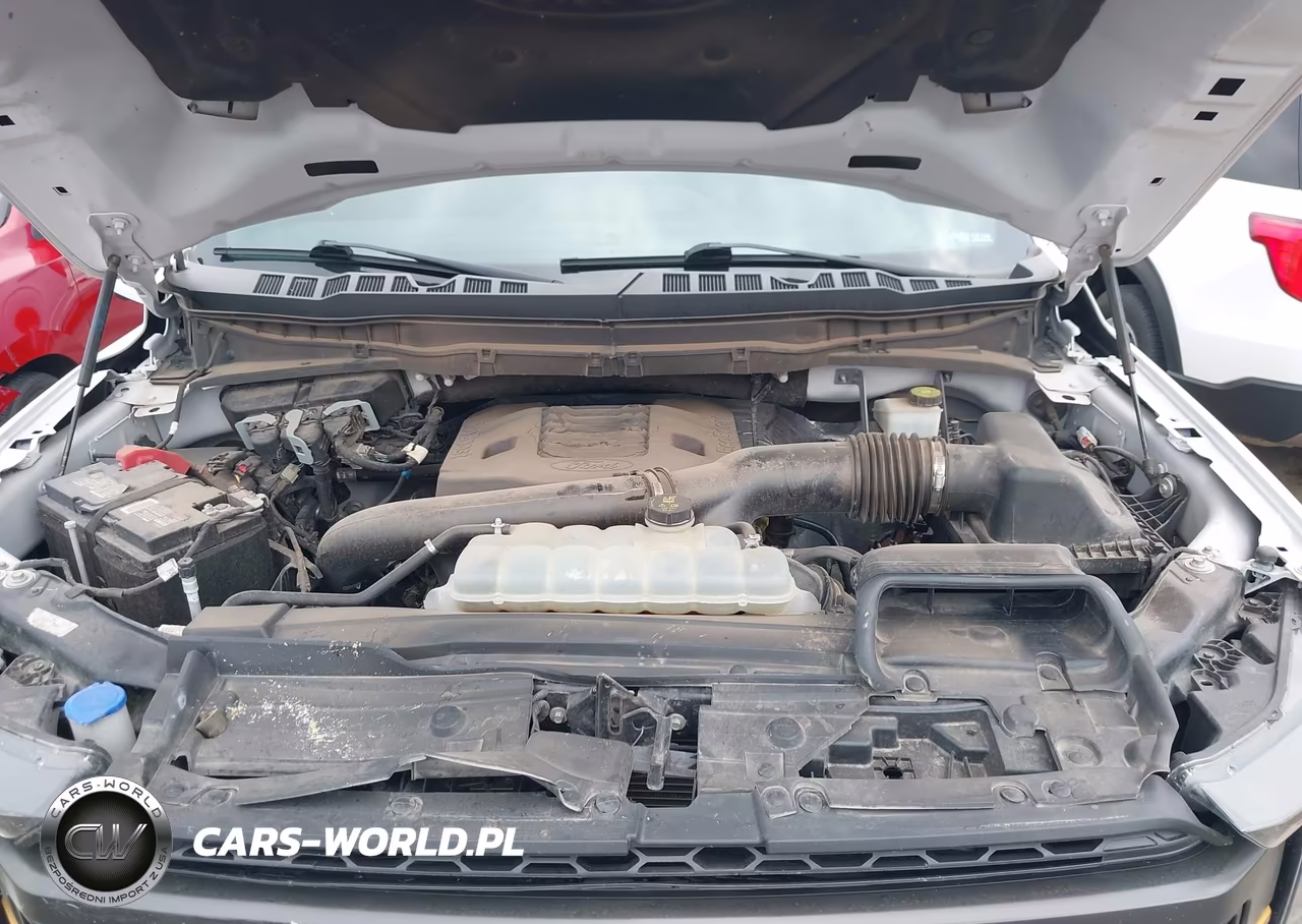 2023 Ford F-150 Tremor VIN:1FTEW1E83PFB07317 - 10