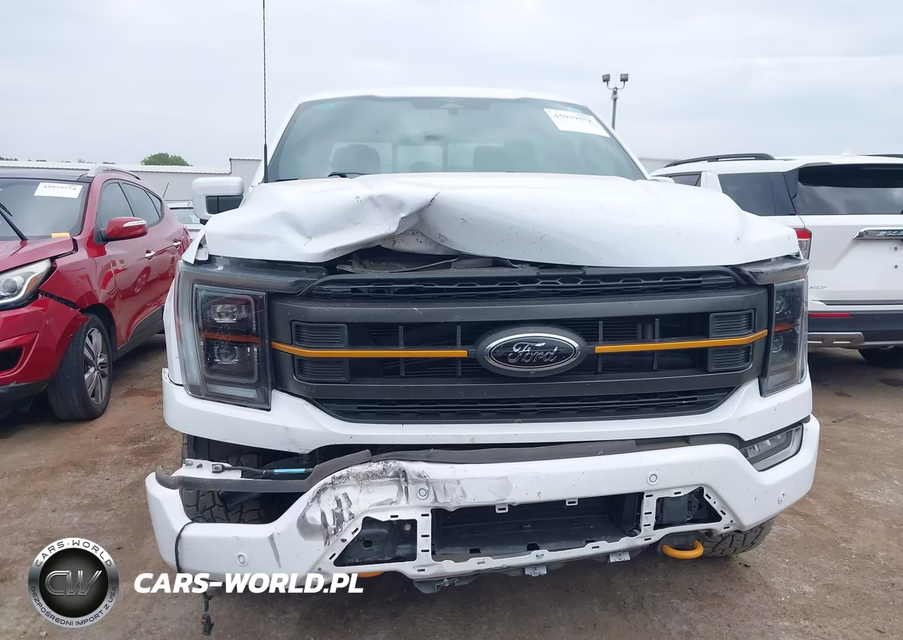 2023 Ford F-150 Tremor VIN:1FTEW1E83PFB07317 - 12