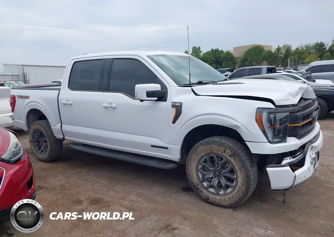 2023 Ford F-150 Tremor VIN:1FTEW1E83PFB07317 - 13