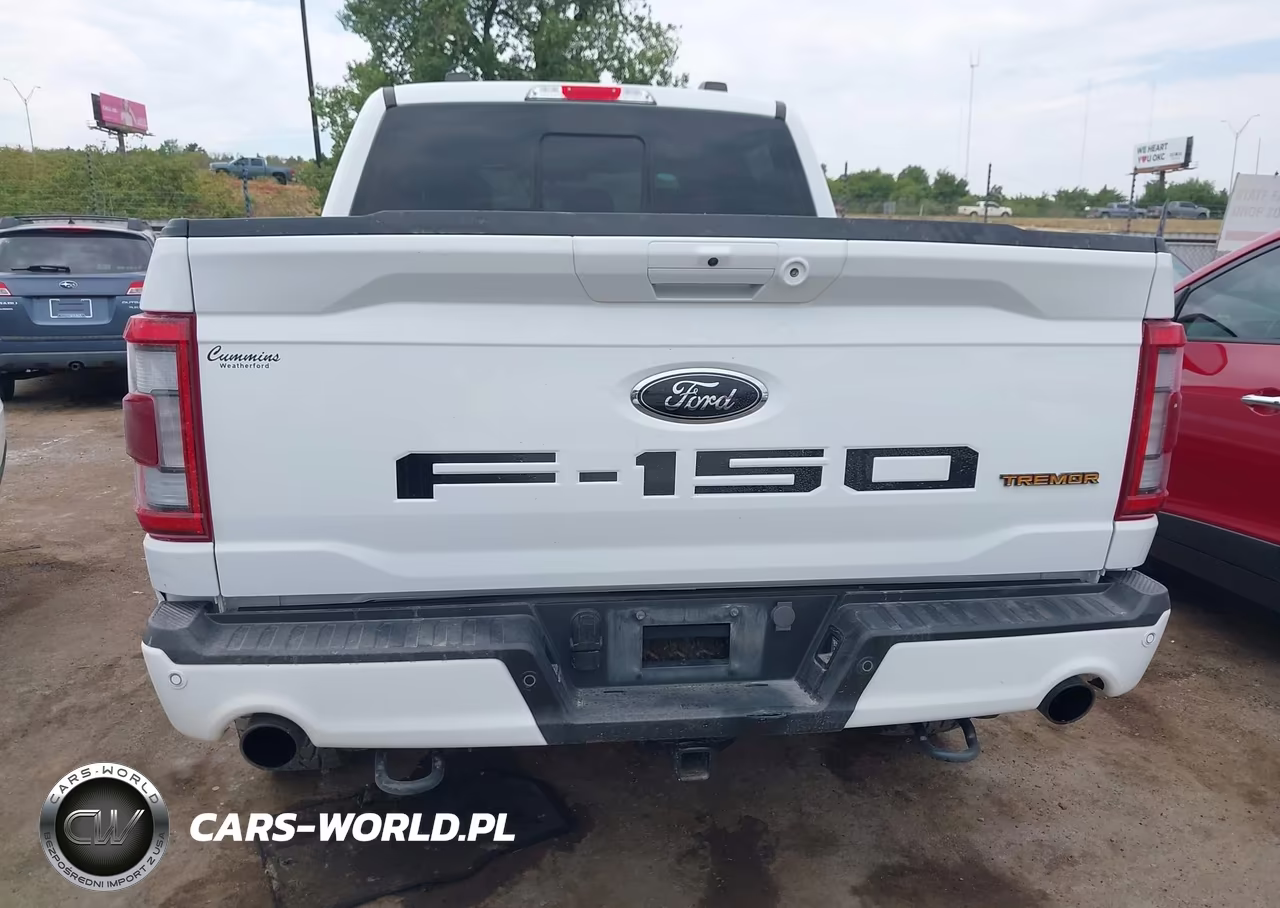 2023 Ford F-150 Tremor VIN:1FTEW1E83PFB07317 - 16