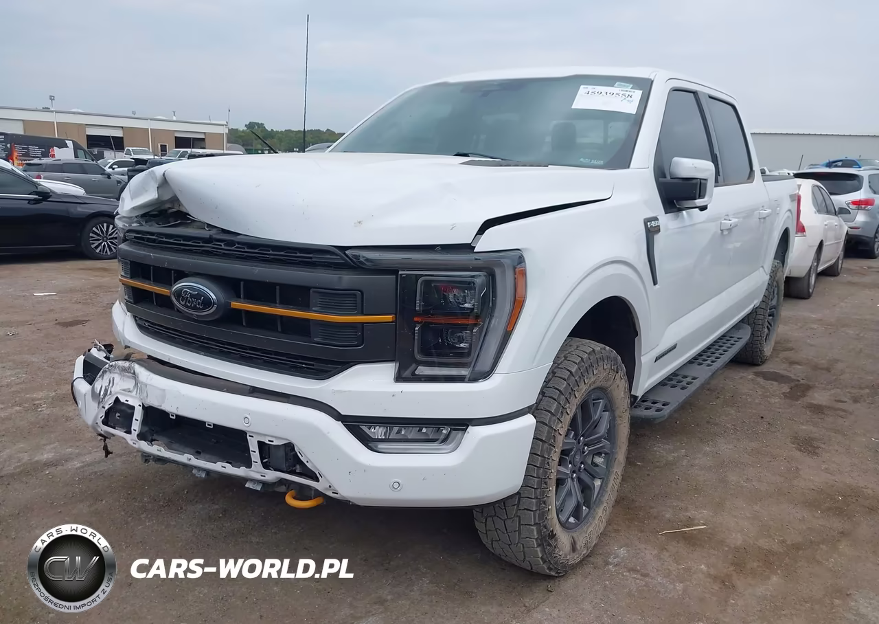 2023 Ford F-150 Tremor VIN:1FTEW1E83PFB07317 - 2