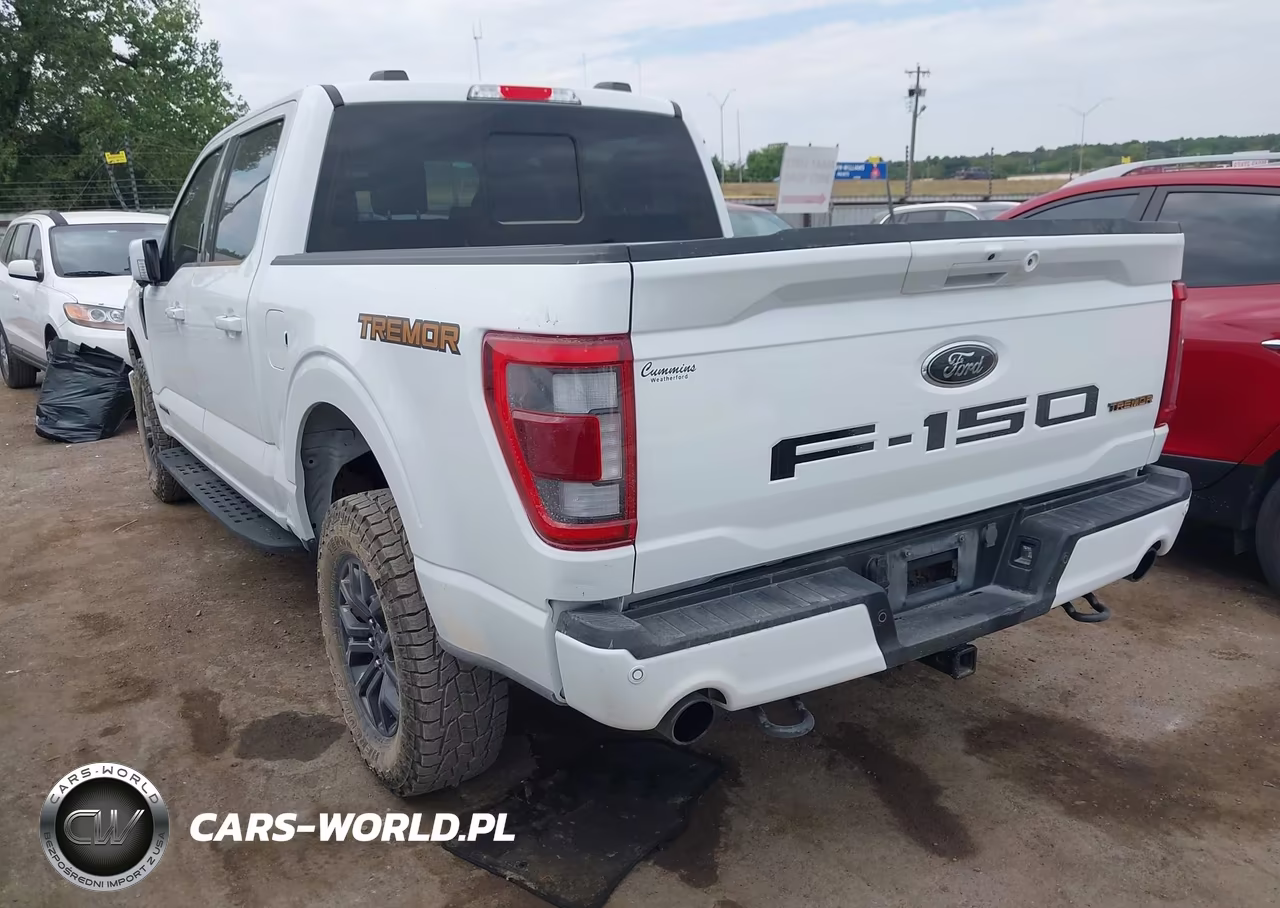 2023 Ford F-150 Tremor VIN:1FTEW1E83PFB07317 - 3