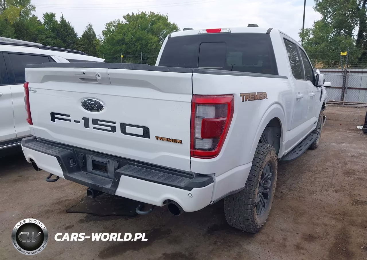 2023 Ford F-150 Tremor VIN:1FTEW1E83PFB07317 - 4