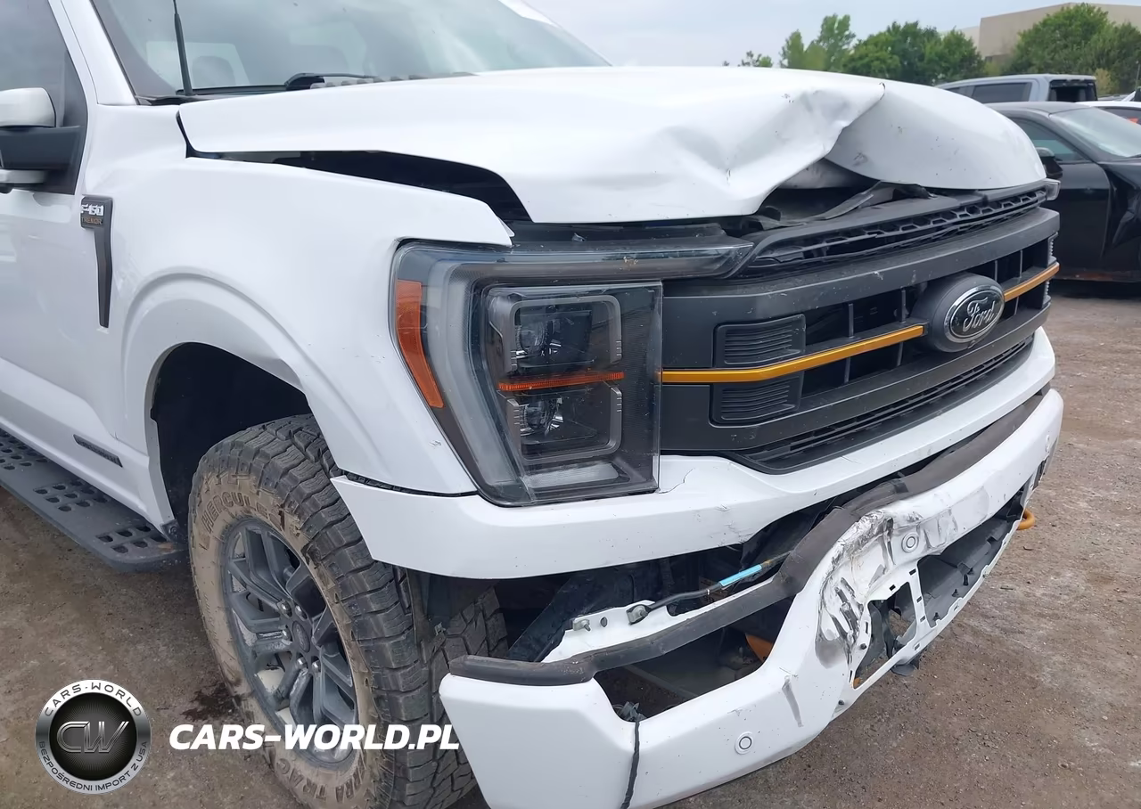 2023 Ford F-150 Tremor VIN:1FTEW1E83PFB07317 - 6