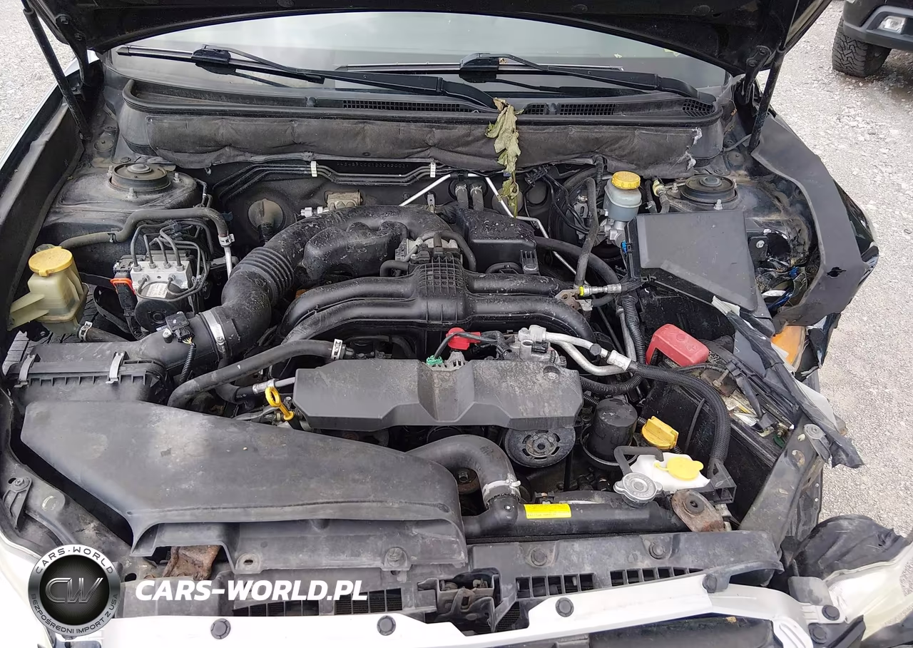 2013 Subaru Outback 2.5I Premium VIN:4S4BRCCC1D3262003 - 10