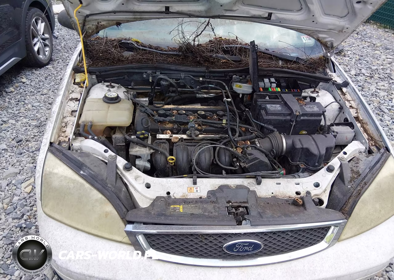 2007 Ford Focus S-Se-Ses VIN:1FAHP34N57W269114 - 10