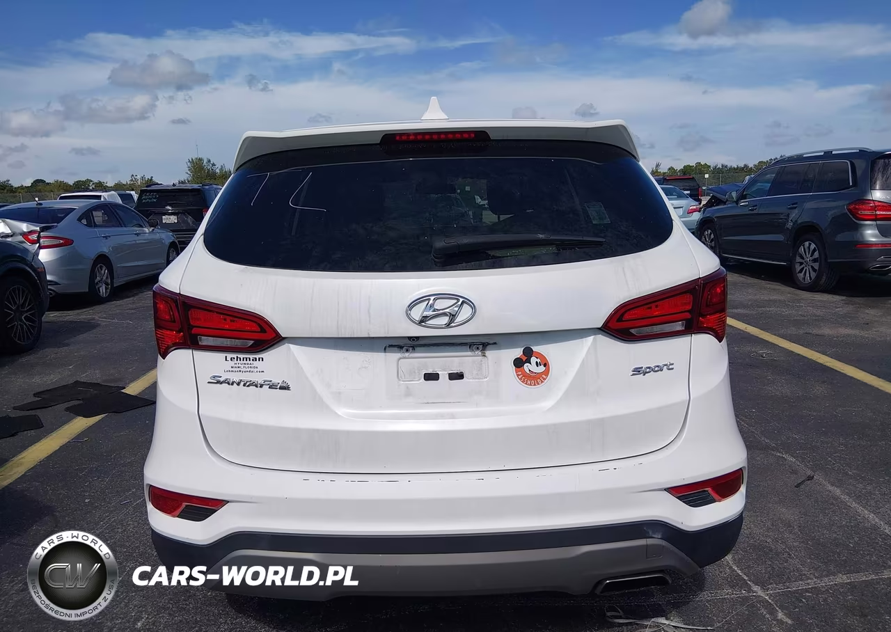 2017 Hyundai Santa Fe Sport 2.4L VIN:5XYZT3LB8HG380613 - 17