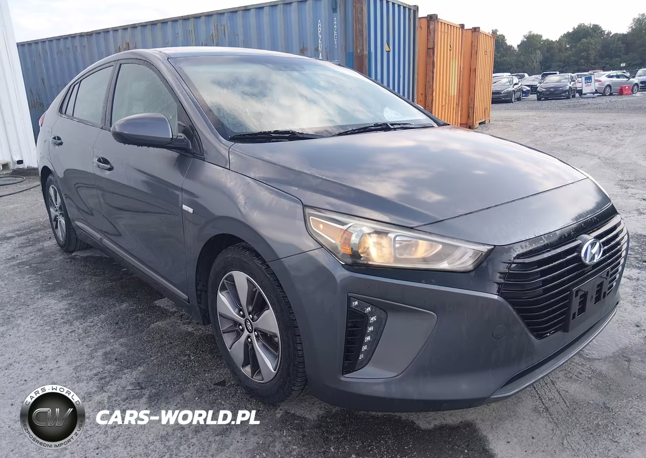 2019 Hyundai Ioniq Plug-In Hybrid VIN:KMHC65LD8KU156558 - 1