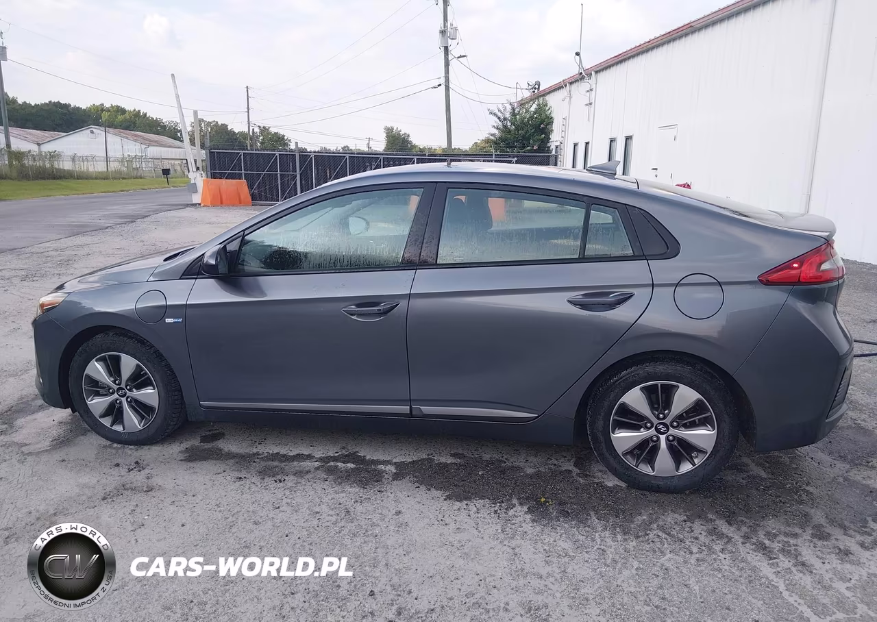 2019 Hyundai Ioniq Plug-In Hybrid VIN:KMHC65LD8KU156558 - 16