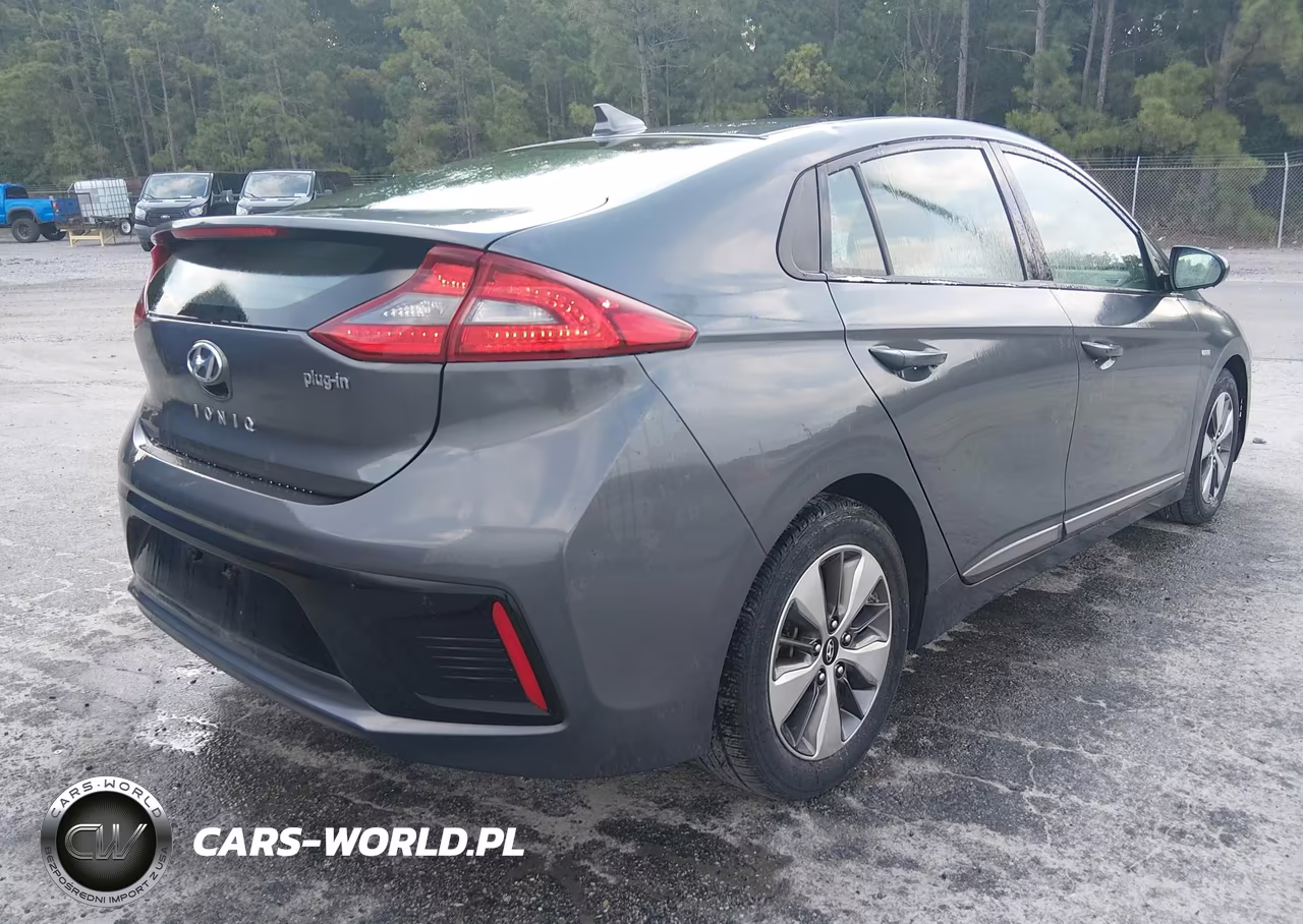 2019 Hyundai Ioniq Plug-In Hybrid VIN:KMHC65LD8KU156558 - 4