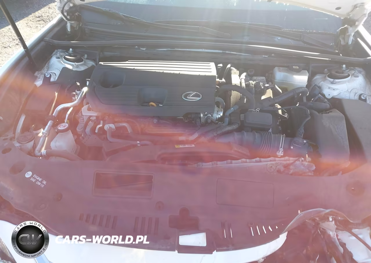 2023 Lexus Es 300H VIN:58ADA1C13PU026768 - 10