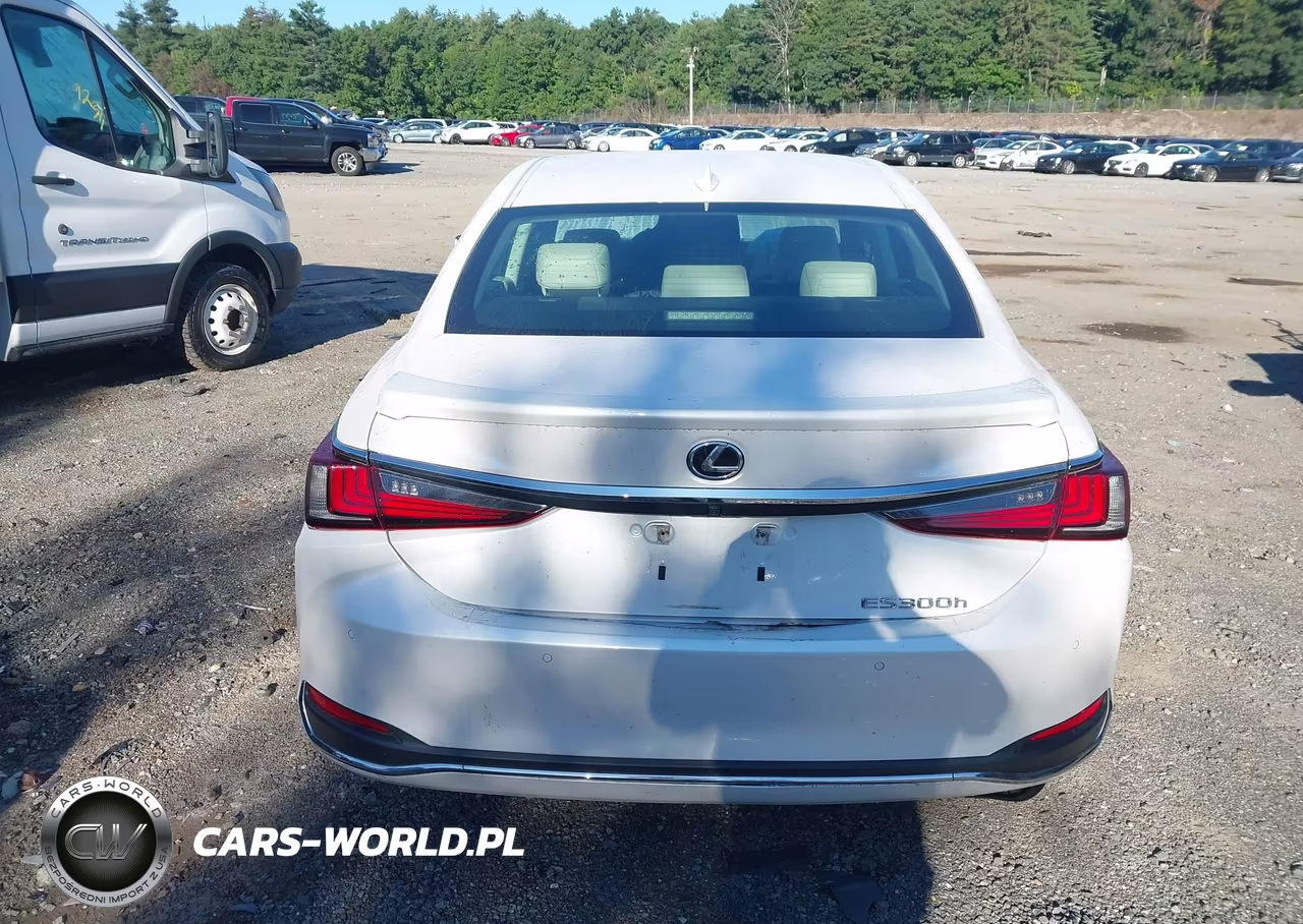 2023 Lexus Es 300H VIN:58ADA1C13PU026768 - 16