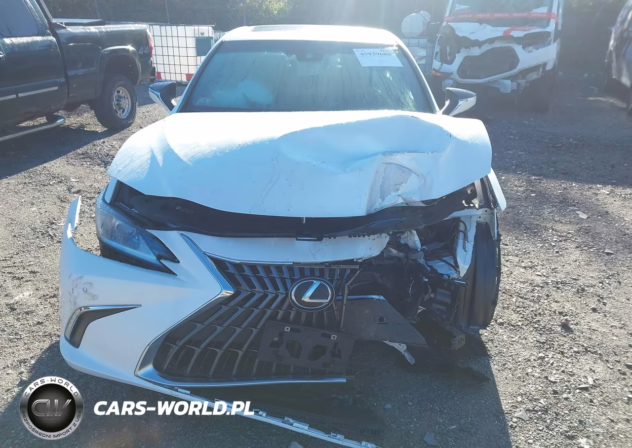 2023 Lexus Es 300H VIN:58ADA1C13PU026768 - 6