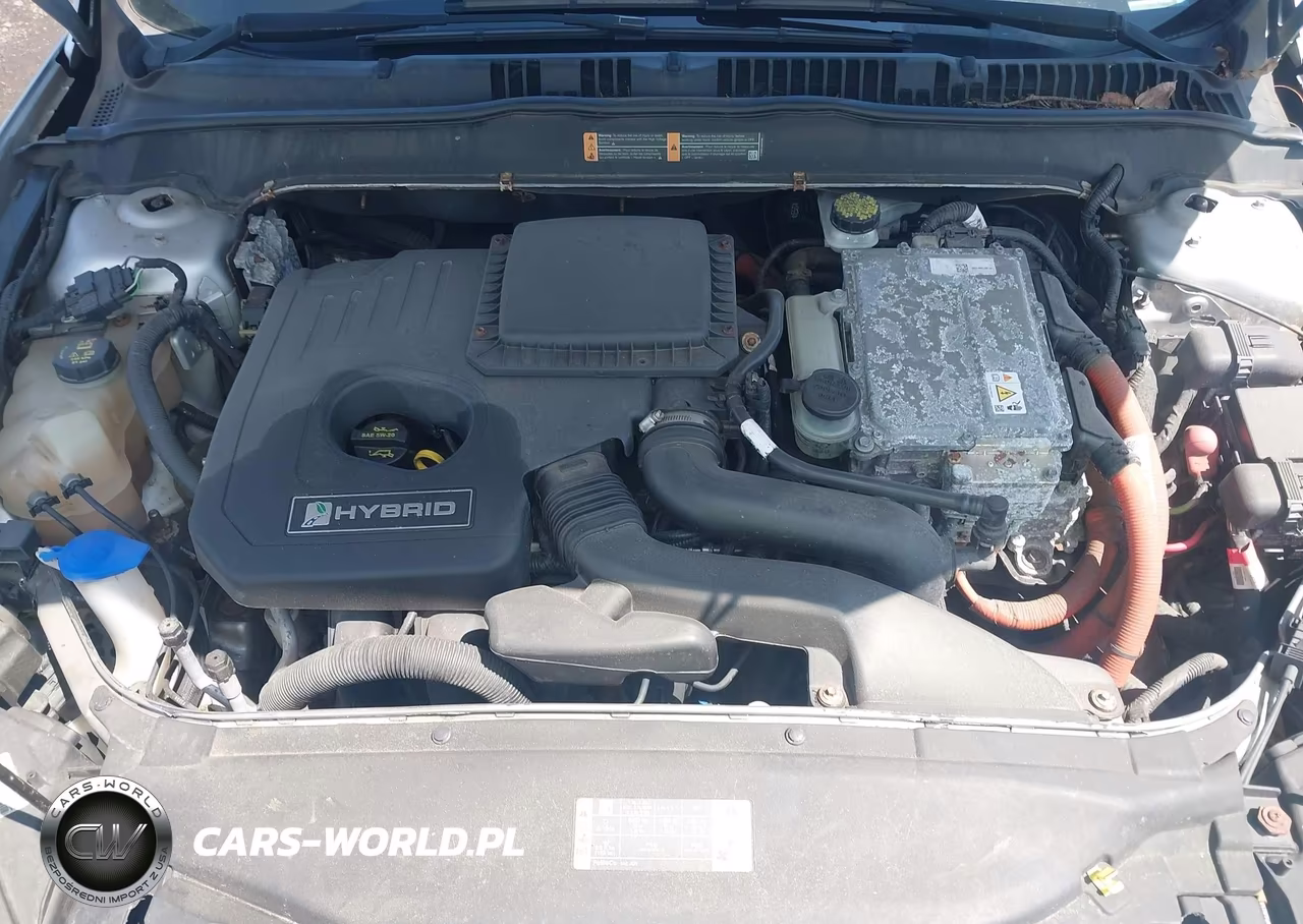 2014 Ford Fusion Hybrid Titanium VIN:3FA6P0RU9ER161326 - 10
