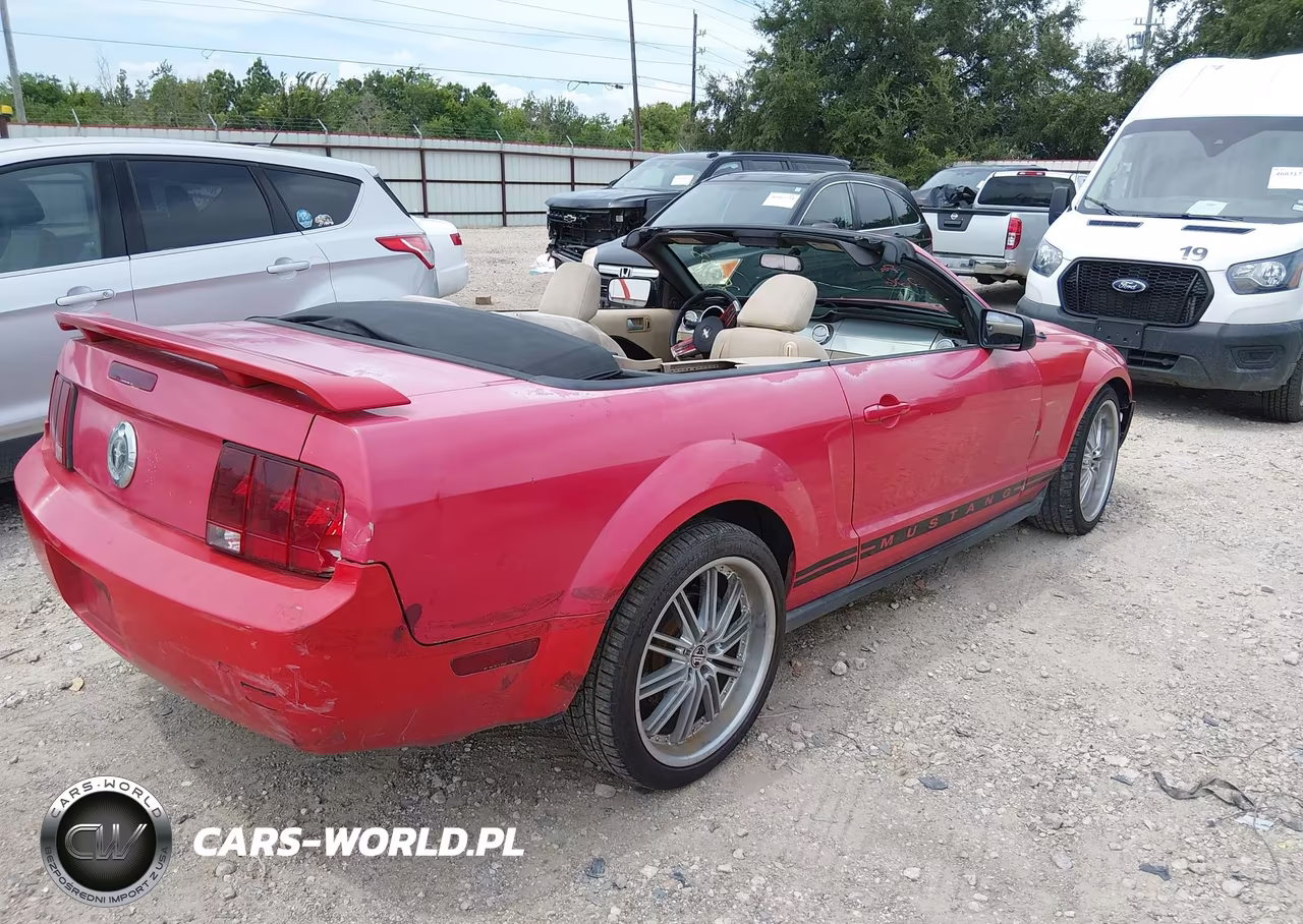 2005 Ford Mustang VIN:1ZVFT84N055250433 - 4