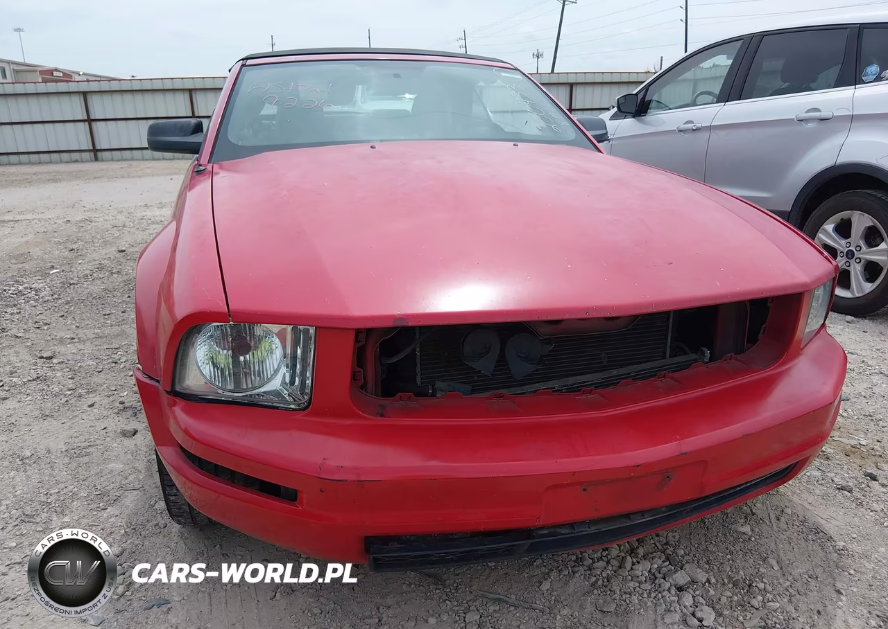 2005 Ford Mustang VIN:1ZVFT84N055250433 - 6