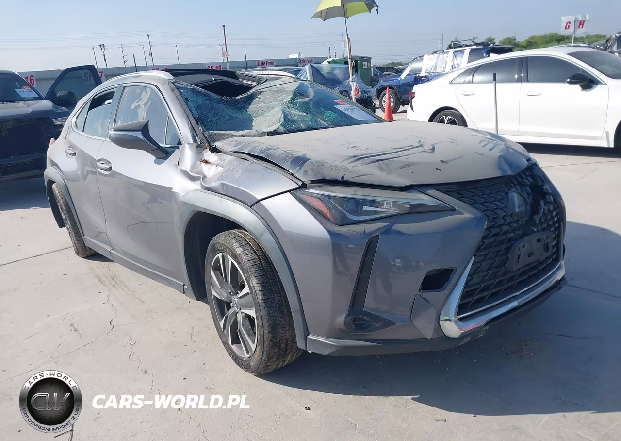 2019 Lexus Ux 200