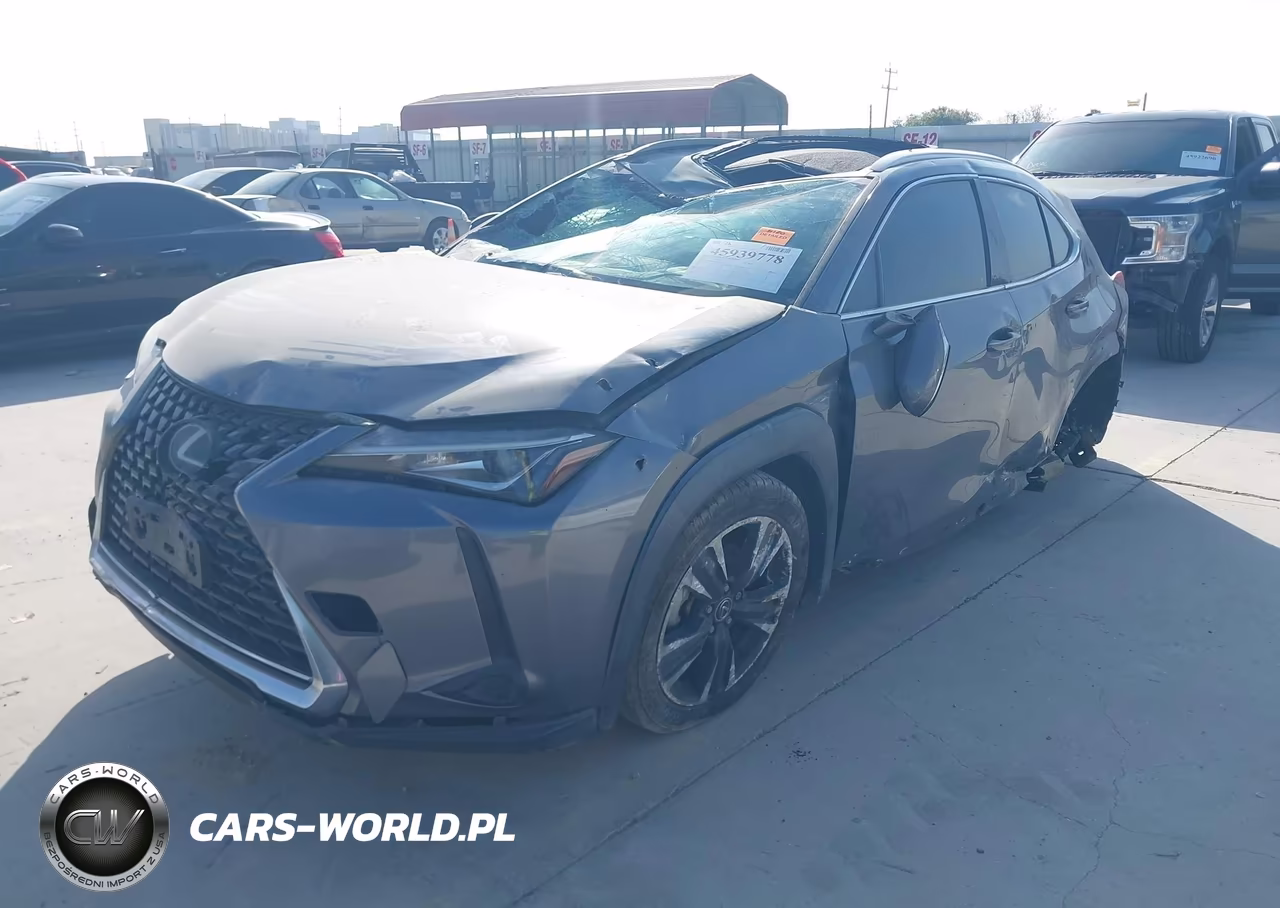 2019 Lexus Ux 200 VIN:JTHY3JBH7K2004295 - 2