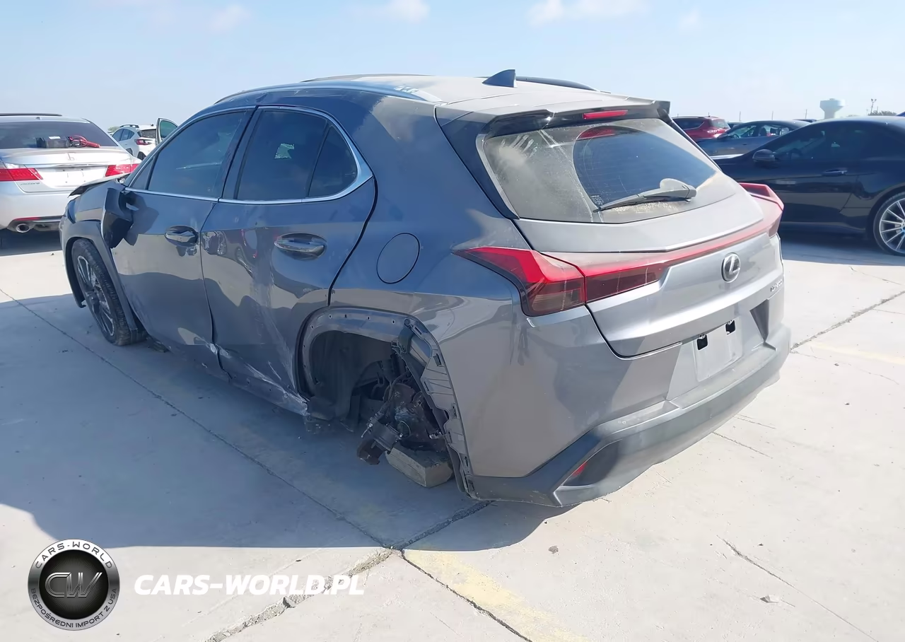 2019 Lexus Ux 200 VIN:JTHY3JBH7K2004295 - 3
