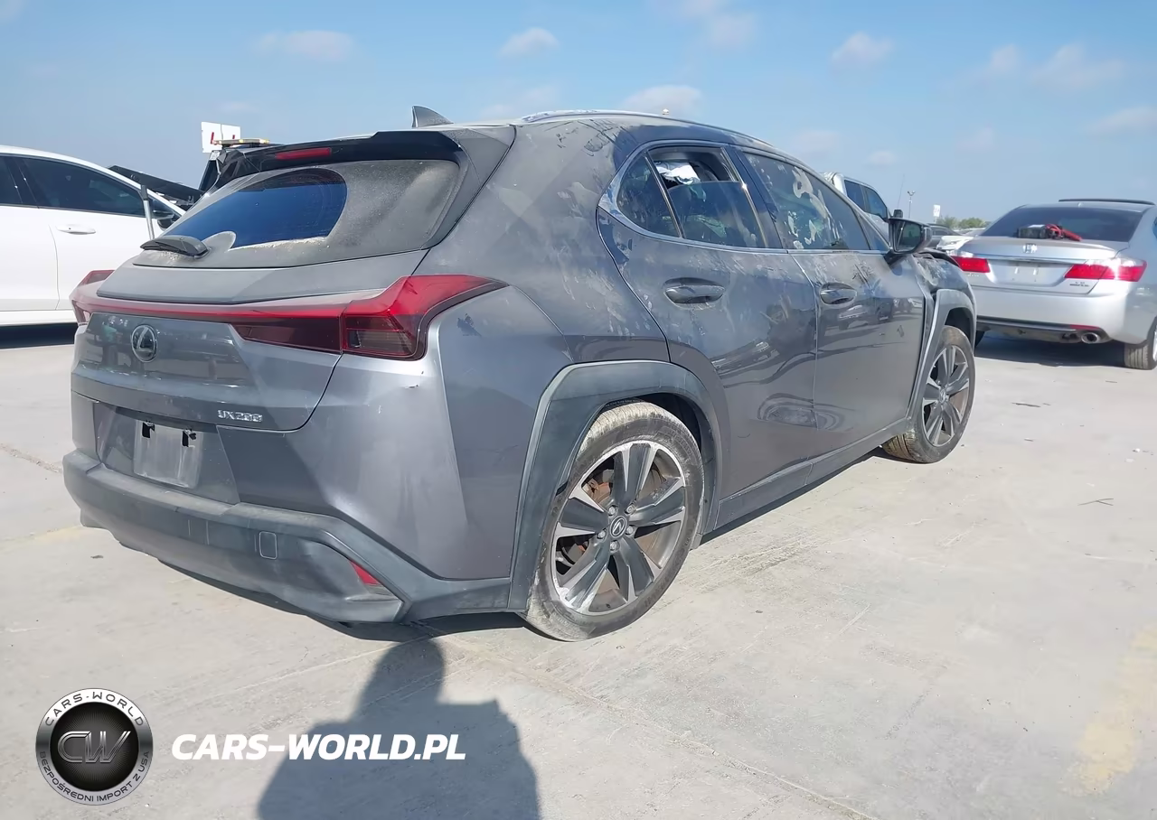 2019 Lexus Ux 200 VIN:JTHY3JBH7K2004295 - 4