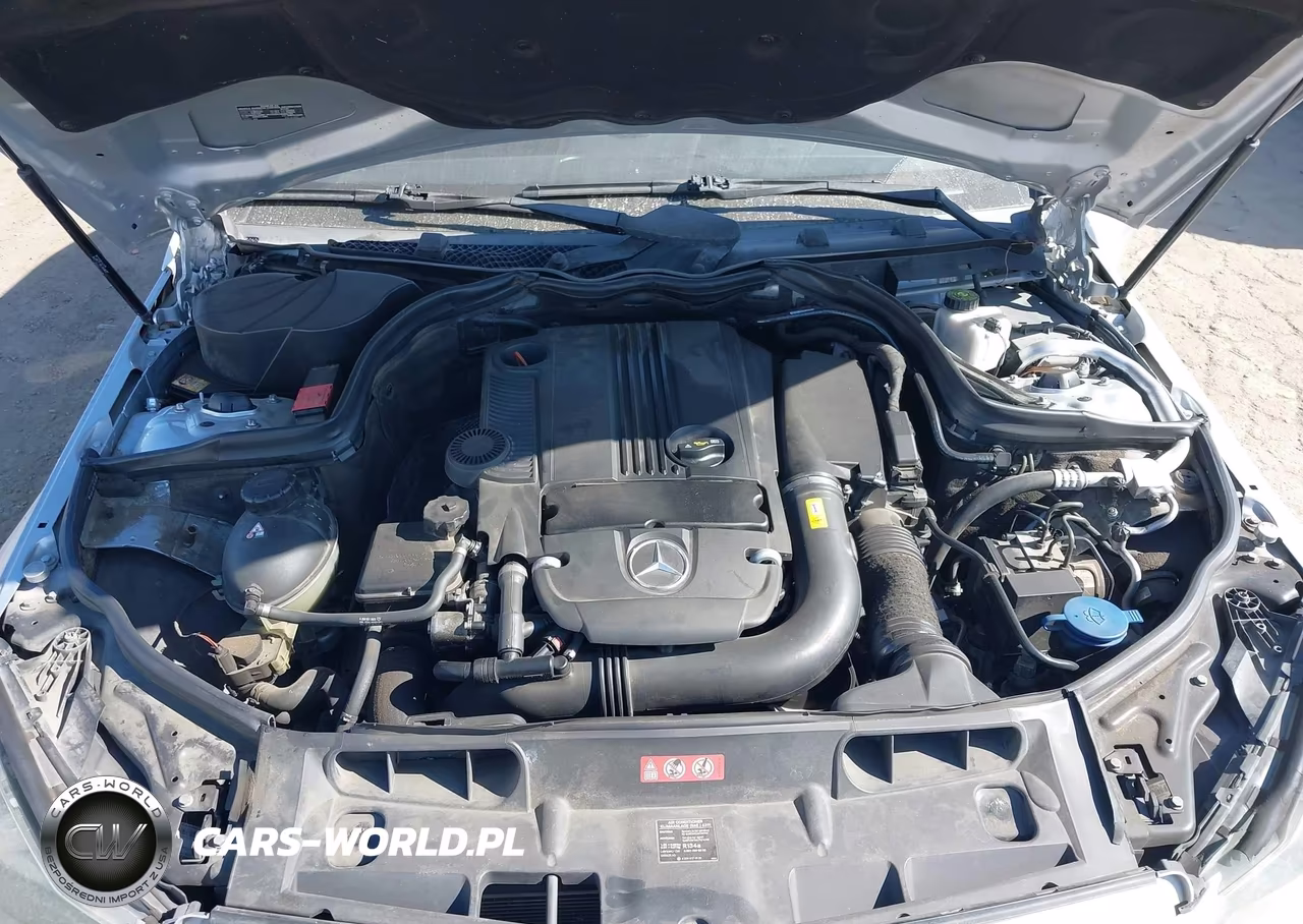 2013 Mercedes-Benz C 250 Sport VIN:WDDGF4HB1DR259467 - 10