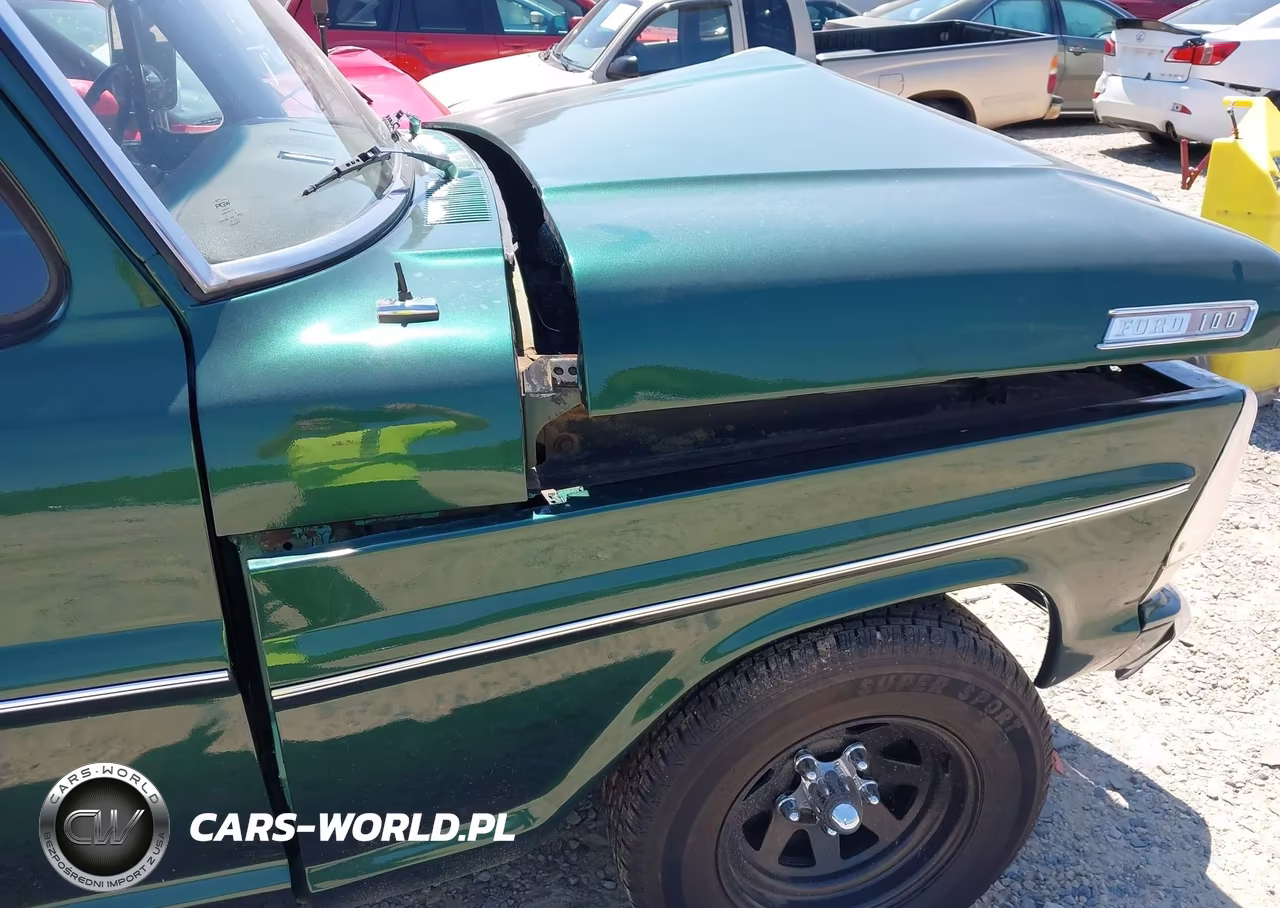 1967 Ford F100 VIN:000000F10BRB41399 - 16