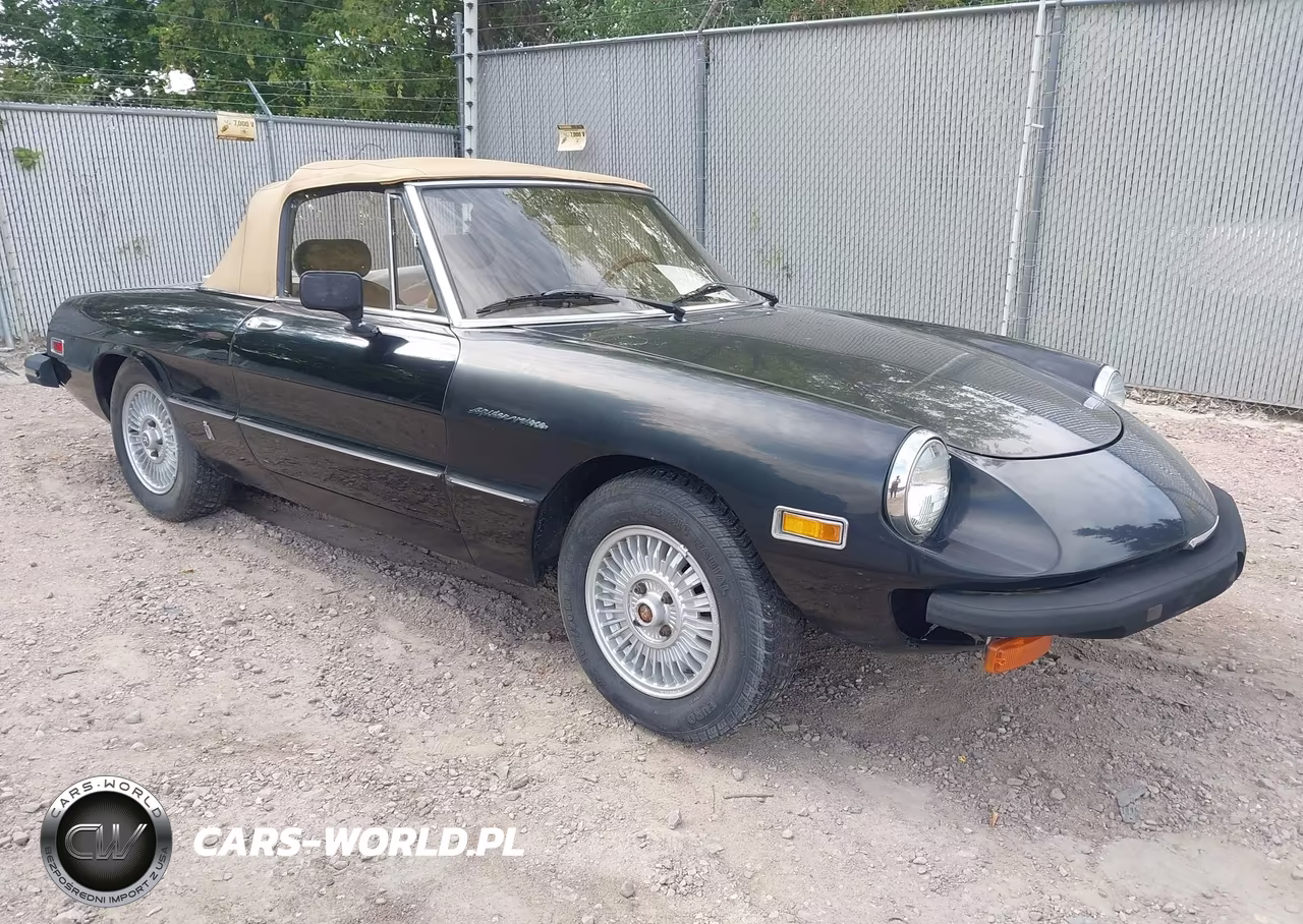 1979 Alfa Romeo Spider – zdjęcie 1 z 19