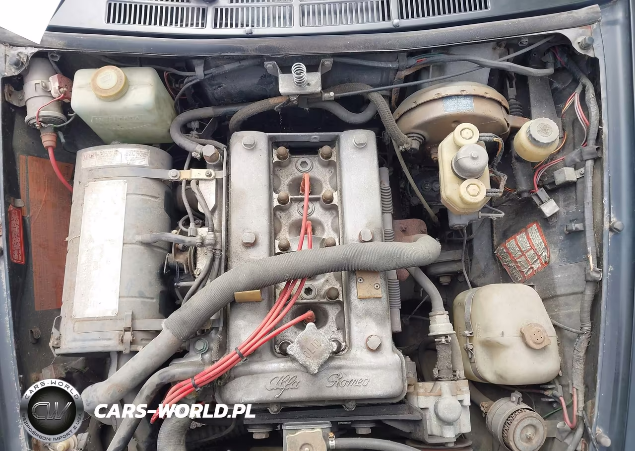 1979 Alfa Romeo Spider VIN:AR115410008528 - 10