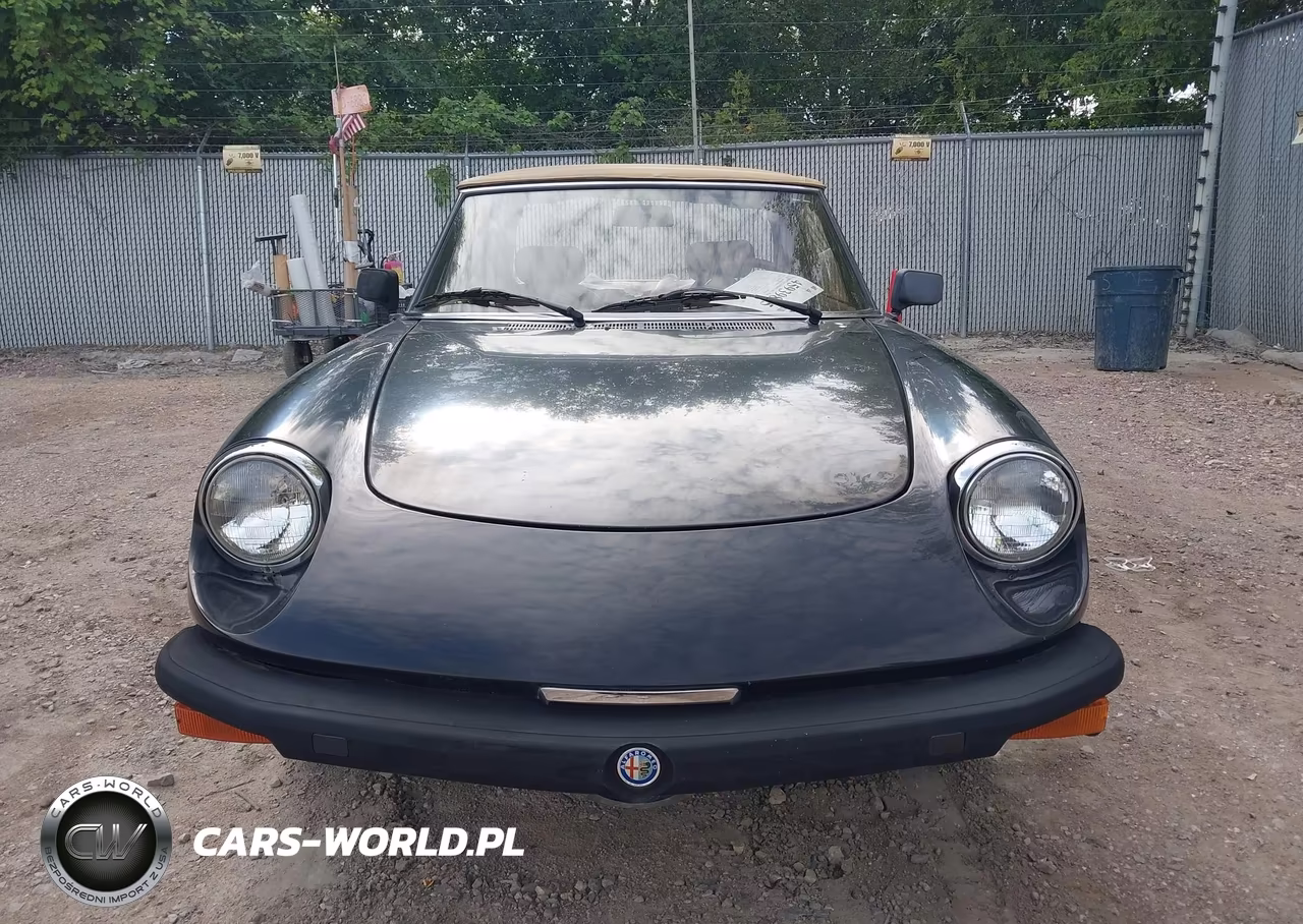 1979 Alfa Romeo Spider VIN:AR115410008528 - 12