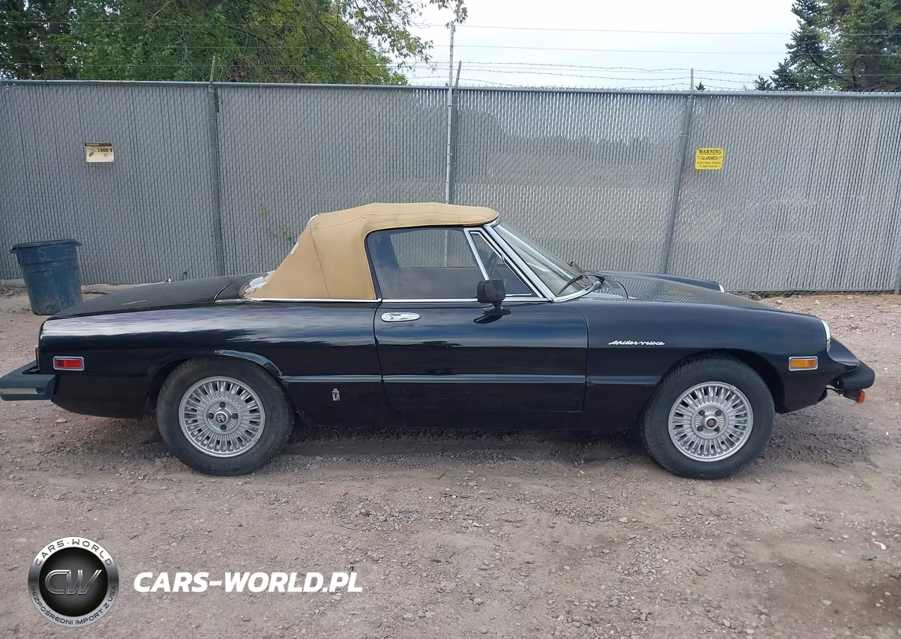 1979 Alfa Romeo Spider VIN:AR115410008528 - 13