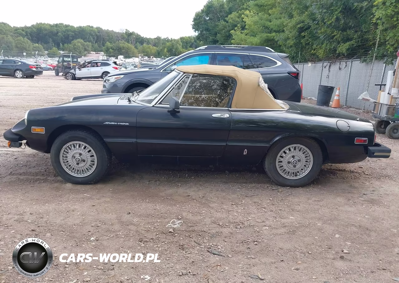 1979 Alfa Romeo Spider VIN:AR115410008528 - 14