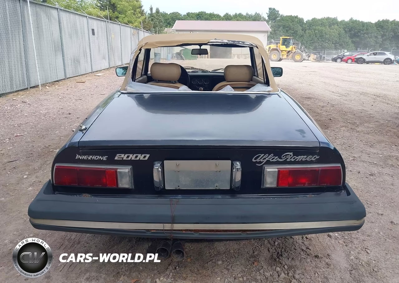 1979 Alfa Romeo Spider VIN:AR115410008528 - 16