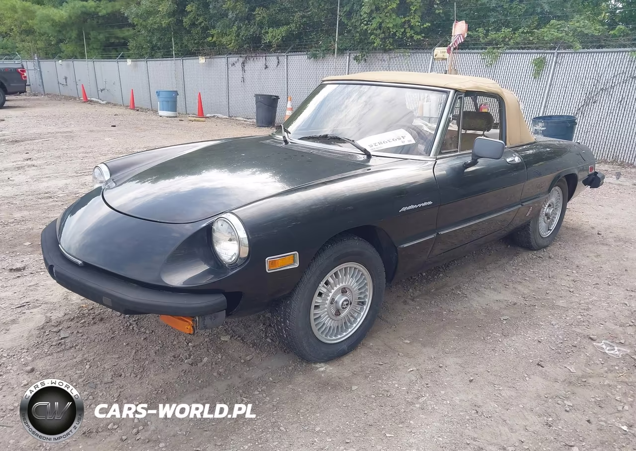 1979 Alfa Romeo Spider VIN:AR115410008528 - 2
