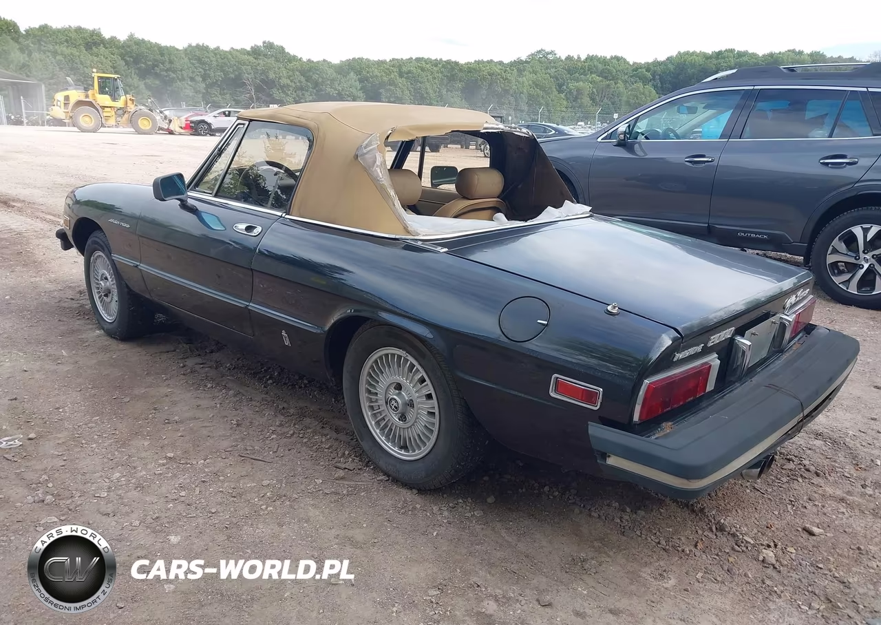 1979 Alfa Romeo Spider VIN:AR115410008528 - 3