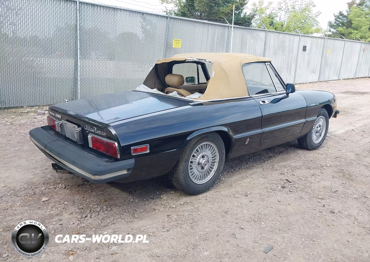 1979 Alfa Romeo Spider VIN:AR115410008528 - 4