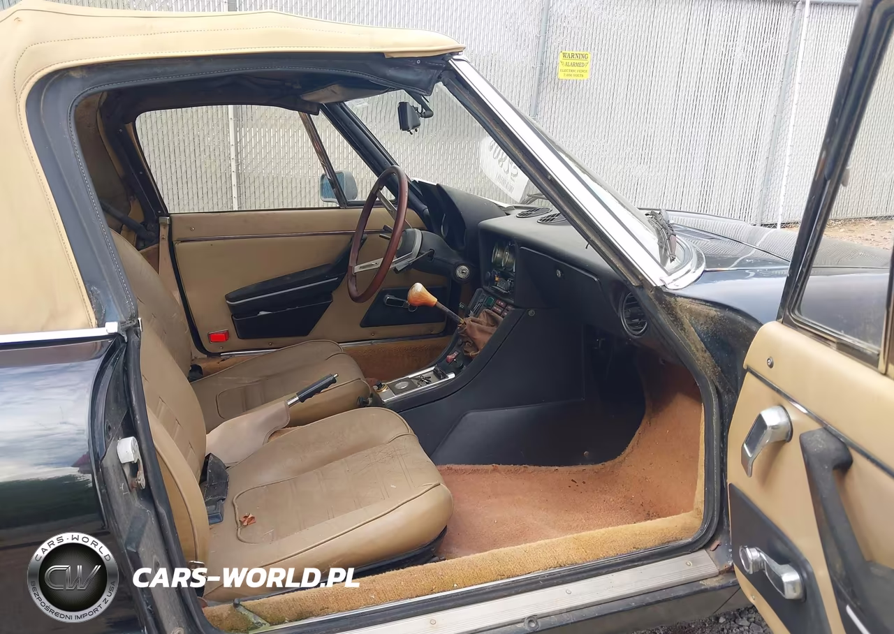 1979 Alfa Romeo Spider VIN:AR115410008528 - 5
